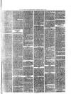 Kentish Express Saturday 13 March 1875 Page 7