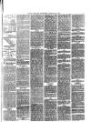Kentish Express Saturday 22 May 1875 Page 5