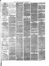 Kentish Express Saturday 29 May 1875 Page 5