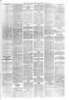 Kentish Express Saturday 13 July 1878 Page 5