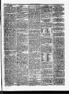 Herald Cymraeg Saturday 21 August 1858 Page 3