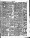 Herald Cymraeg Saturday 07 May 1864 Page 3