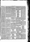 Herald Cymraeg Saturday 15 April 1865 Page 3