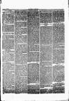 Herald Cymraeg Saturday 24 June 1865 Page 7