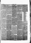 Herald Cymraeg Saturday 08 July 1865 Page 5