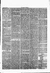 Herald Cymraeg Saturday 22 July 1865 Page 5
