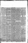 Herald Cymraeg Saturday 29 July 1865 Page 5