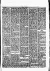 Herald Cymraeg Saturday 12 August 1865 Page 3