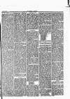 Herald Cymraeg Saturday 26 August 1865 Page 3