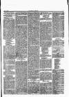 Herald Cymraeg Saturday 26 August 1865 Page 5