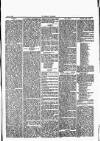 Herald Cymraeg Saturday 26 August 1865 Page 7