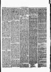 Herald Cymraeg Saturday 09 September 1865 Page 5