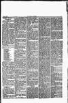 Herald Cymraeg Saturday 16 September 1865 Page 5