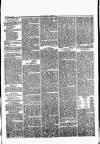 Herald Cymraeg Saturday 04 November 1865 Page 7