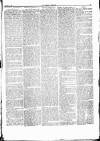 Herald Cymraeg Saturday 06 January 1866 Page 3