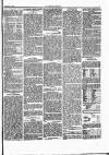Herald Cymraeg Saturday 03 February 1866 Page 5