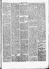 Herald Cymraeg Saturday 10 February 1866 Page 5
