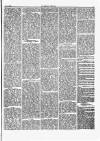 Herald Cymraeg Saturday 19 May 1866 Page 5