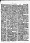 Herald Cymraeg Saturday 29 September 1866 Page 3