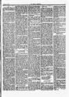 Herald Cymraeg Saturday 29 December 1866 Page 3