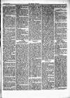 Herald Cymraeg Saturday 02 February 1867 Page 3