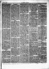 Herald Cymraeg Saturday 16 February 1867 Page 5