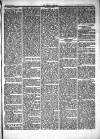 Herald Cymraeg Saturday 23 February 1867 Page 3