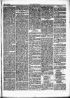 Herald Cymraeg Saturday 23 March 1867 Page 3