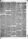 Herald Cymraeg Saturday 17 August 1867 Page 7