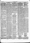 Herald Cymraeg Saturday 02 November 1867 Page 3