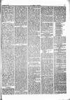 Herald Cymraeg Saturday 16 November 1867 Page 5