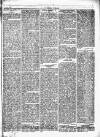 Herald Cymraeg Saturday 09 January 1869 Page 7