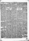 Herald Cymraeg Saturday 06 February 1869 Page 3