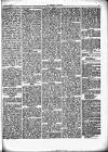 Herald Cymraeg Saturday 06 February 1869 Page 5
