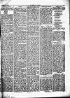 Herald Cymraeg Saturday 27 February 1869 Page 7