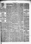 Herald Cymraeg Saturday 13 March 1869 Page 5