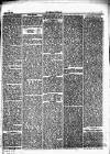 Herald Cymraeg Saturday 19 June 1869 Page 7