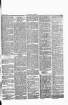 Herald Cymraeg Friday 03 February 1871 Page 5