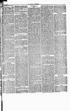 Herald Cymraeg Friday 24 March 1871 Page 7