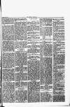 Herald Cymraeg Friday 23 June 1871 Page 5