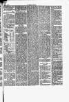 Herald Cymraeg Friday 30 June 1871 Page 5