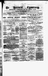 Herald Cymraeg Friday 11 August 1871 Page 1