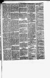 Herald Cymraeg Friday 11 August 1871 Page 5