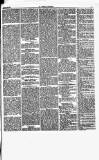 Herald Cymraeg Friday 06 October 1871 Page 5