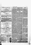 Herald Cymraeg Friday 10 November 1871 Page 3