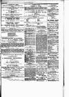 Herald Cymraeg Friday 01 December 1871 Page 3