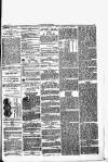 Herald Cymraeg Friday 08 December 1871 Page 3