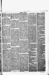 Herald Cymraeg Friday 08 December 1871 Page 5