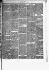 Herald Cymraeg Friday 15 December 1871 Page 3