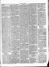 Herald Cymraeg Friday 05 January 1872 Page 5